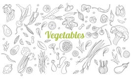 Gr?fico linear Fundo dos vegetais Estilo escandinavo Alimento saud?vel Ilustra??o do vetor Frutos tirados mão e ilustração stock Gr?fico linear Fundo dos vegetais Estilo escandinavo Alimento saud?vel Ilustra??o do vetor Frutos tirados mão e ilustração stock