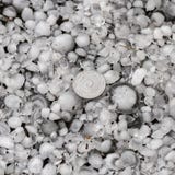 Gr?le class?e avec une plus grande pi?ce de monnaie, gr?lons au sol apr?s l'averse de gr?le, gr?le de grande taille images libres de droits Gr?le class?e avec une plus grande pi?ce de monnaie, gr?lons au sol apr?s l'averse de gr?le, gr?le de grande taille images libres de droits
