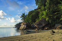 Graaf bij een mooi paradijsstrand op Seychellen 1 Royalty-vrije Stock Foto Graaf bij een mooi paradijsstrand op Seychellen 1 Royalty-vrije Stock Foto