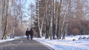 Grabben och flickan går till och med parkerar i vinter stock video Grabben och flickan går till och med parkerar i vinter stock video