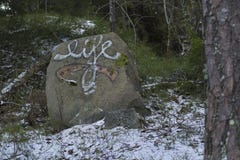 Graffiti avec le ` de la vie de ` de mot sur la pierre dans une forêt suédoise photos stock Graffiti avec le ` de la vie de ` de mot sur la pierre dans une forêt suédoise photos stock