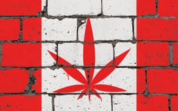 Graffiti sztuki kiści uliczny rysunek dalej matrycuje Marihuana liść na ścianie z cegieł z chorągwianym Kanada ilustracji Graffiti sztuki kiści uliczny rysunek dalej matrycuje Marihuana liść na ścianie z cegieł z chorągwianym Kanada ilustracji