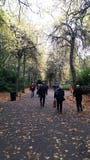 Grafton Park, Dublino, Irlanda, passeggiata piacevole nella caduta fotografia stock libera da diritti Grafton Park, Dublino, Irlanda, passeggiata piacevole nella caduta fotografia stock libera da diritti