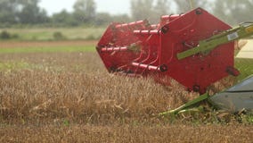 Grain Harvesting, Agriculture - Close Up Harvester Combine Rotor. Prores, Slow Motion stock video footage Grain Harvesting, Agriculture - Close Up Harvester Combine Rotor. Prores, Slow Motion stock video footage