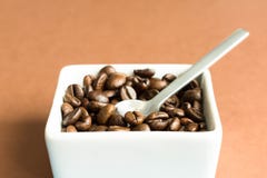 Grains de caf? dans la cuvette blanche image libre de droits Grains de caf? dans la cuvette blanche image libre de droits