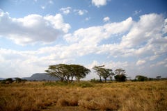 Gran paisaje de la sabana de África fotografía de archivo libre de regalías Gran paisaje de la sabana de África fotografía de archivo libre de regalías