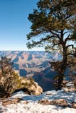 Grand Canyon And Snow Royalty Free Stock Photo
