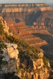 Grand Canyon From Mather Point Stock Photos
