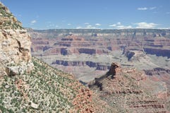 Grand Canyon Landscape Royalty Free Stock Photography