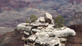 Grand- CanyonNationalpark lizenzfreies stockbild Grand- CanyonNationalpark lizenzfreies stockbild