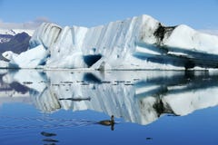 Grand iceberg bleu-clair en soleil rayonnant sur la lagune de glacier de Jökulsarlon, se reflétant dans l'eau, un canard nageant photographie stock Grand iceberg bleu-clair en soleil rayonnant sur la lagune de glacier de Jökulsarlon, se reflétant dans l'eau, un canard nageant photographie stock