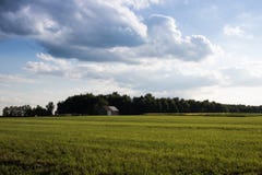 Grande cielo sopra il campo di tabacco con il granaio immagini stock libere da diritti Grande cielo sopra il campo di tabacco con il granaio immagini stock libere da diritti