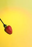 Grande fragola rossa su fondo caldo giallo luminoso immagine stock Grande fragola rossa su fondo caldo giallo luminoso immagine stock