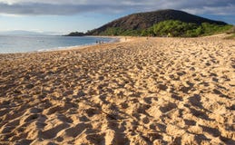 Grande plage ou Oneloa sur Maui Hawaï Photo libre de droits Grande plage ou Oneloa sur Maui Hawaï Photo libre de droits