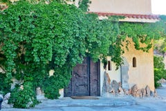 Grande porte en bois d'un vieux château envahi avec une plante verte image stock Grande porte en bois d'un vieux château envahi avec une plante verte image stock
