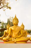 Grande statua dorata di Buddha in Tailandia Phichit, Tailandia Fotografia Stock Libera da Diritti Grande statua dorata di Buddha in Tailandia Phichit, Tailandia Fotografia Stock Libera da Diritti