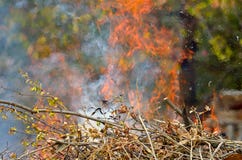 Grandes flammes sur le champ photo stock Grandes flammes sur le champ photo stock