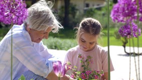 Grandmother and girl planting flowers at garden