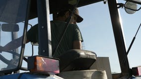 Granjero que conduce el tractor en el campo de la patata almacen de video Granjero que conduce el tractor en el campo de la patata almacen de video