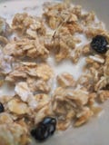 Granola αμυγδάλων με τις σταφίδες στοκ εικόνες Granola αμυγδάλων με τις σταφίδες στοκ εικόνες
