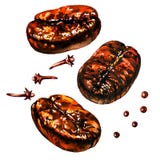 Granos de café asados frescos con la especia, la pimienta y los clavos, aislados, ejemplo de la acuarela en blanco stock de ilustración Granos de café asados frescos con la especia, la pimienta y los clavos, aislados, ejemplo de la acuarela en blanco stock de ilustración