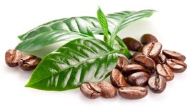 Granos y hojas asados de café. foto de archivo libre de regalías Granos y hojas asados de café. foto de archivo libre de regalías