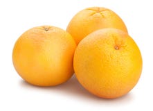  grapefruit imagens de stock