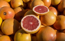  grapefruit imagens de stock