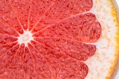  grapefruit imagens de stock royalty free