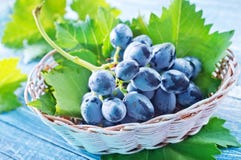 grapefruits obraz royalty free grapefruits obraz royalty free