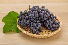 grapefruits zdjęcia stock grapefruits zdjęcia stock