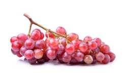 grapefruits zdjęcia stock grapefruits zdjęcia stock