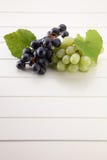 grapefruits fotografia stock grapefruits fotografia stock