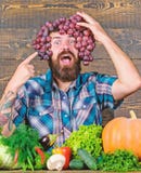 Grapes from own garden. Farming concept. Man hold grapes wooden background. Farmer bearded guy with homegrown harvest stock photography Grapes from own garden. Farming concept. Man hold grapes wooden background. Farmer bearded guy with homegrown harvest stock photography
