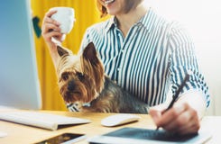 Graphic designer working at office with digital stylus on background monitor computer, smile hipster manager using pen with dog stock photo Graphic designer working at office with digital stylus on background monitor computer, smile hipster manager using pen with dog stock photo