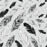 Graphic Texture Of Feathers Royalty Free Stock Photography