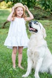 Grappige grote hond in zonnebril en leuk blondemeisje in witte kleding in openlucht in park Royalty-vrije Stock Foto Grappige grote hond in zonnebril en leuk blondemeisje in witte kleding in openlucht in park Royalty-vrije Stock Foto