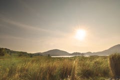 Gras und Sonnenaufgangweinlese Retro- Stockbild Gras und Sonnenaufgangweinlese Retro- Stockbild
