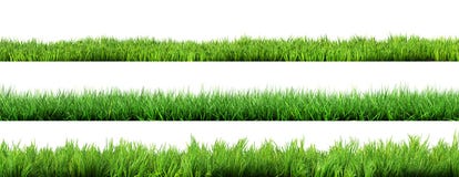 Grass Royalty Free Stock Images Grass Royalty Free Stock Images
