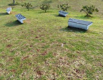 grass with chairs in jakarta, Indonesia