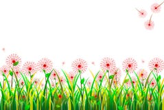 Grass Flowers Royalty Free Stock Images