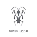 Grasshopper icon. Trendy Grasshopper logo concept on white backg vector illustration Grasshopper icon. Trendy Grasshopper logo concept on white backg vector illustration