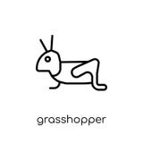 Grasshopper icon. Trendy modern flat linear vector Grasshopper i vector illustration Grasshopper icon. Trendy modern flat linear vector Grasshopper i vector illustration
