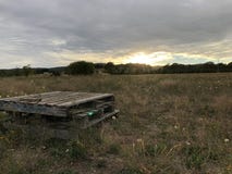 Grassland and the sunshine royalty free stock photography Grassland and the sunshine royalty free stock photography
