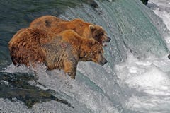Graubär betrifft Wasserfall Graubär betrifft Wasserfall