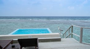 Graureiher auf Wasserbungalowterrasse in Malediven stockfotografie Graureiher auf Wasserbungalowterrasse in Malediven stockfotografie