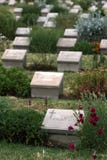 Gravestones at Brown`s Dip Plot at Lone Pine Cemetery on the Gallipoli Peninsula in Turkey. Stock Photography Gravestones at Brown`s Dip Plot at Lone Pine Cemetery on the Gallipoli Peninsula in Turkey. Stock Photography