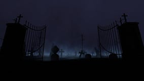 Graveyard with old gate, fog and rain royalty free illustration Graveyard with old gate, fog and rain royalty free illustration