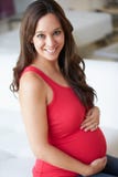 Gravid kvinnasammanträde på soffan royaltyfria foton Gravid kvinnasammanträde på soffan royaltyfria foton