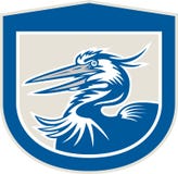 Great Blue Heron Head Shield Retro Stock Image